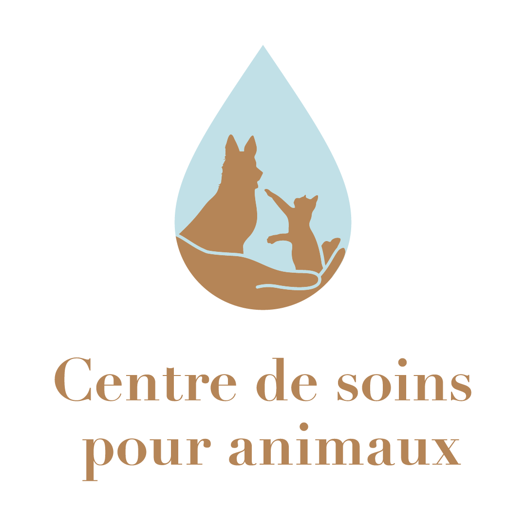 Centre de soins pour animaux