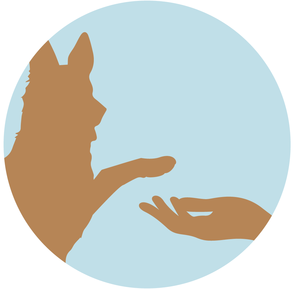 icone de chien