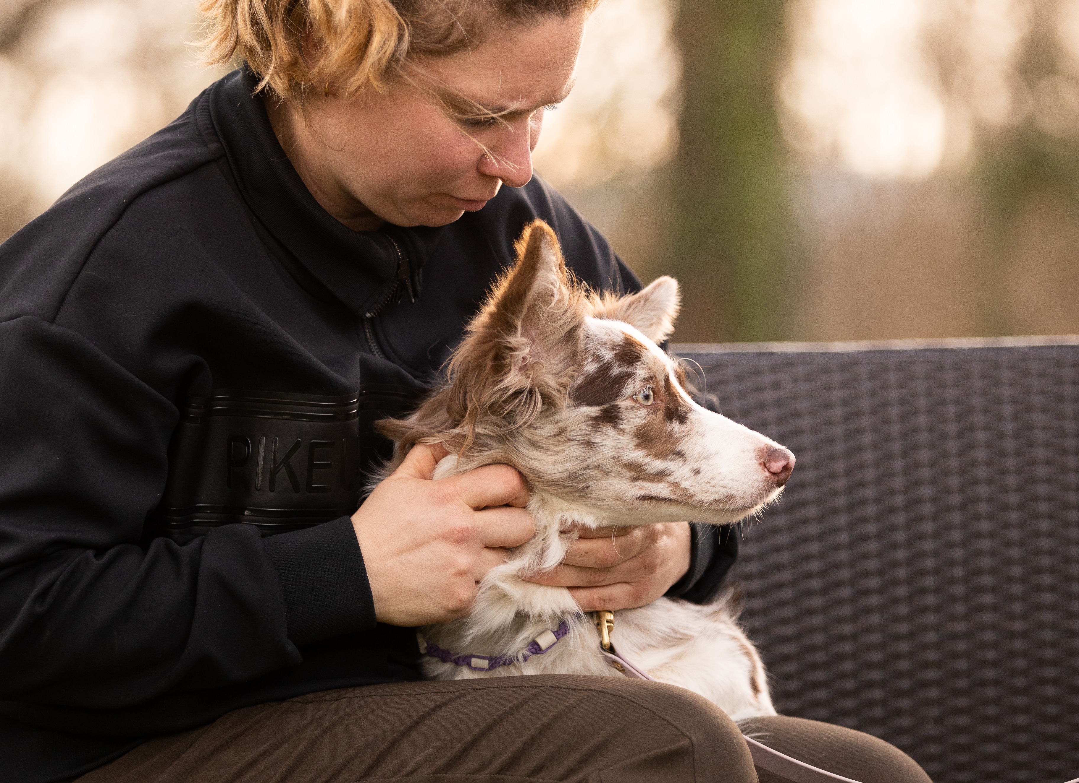 image représentant la prestation Massage canin et félin