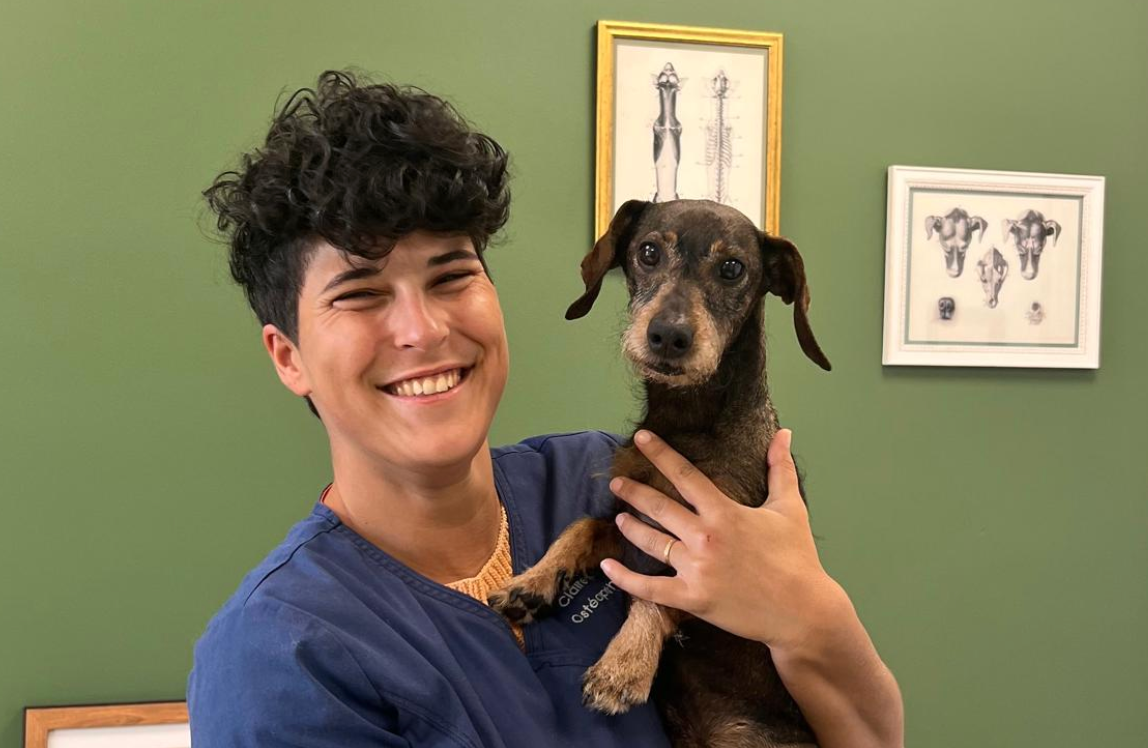 Aperçu de Formation - Pathologies canines : Repérer, Comprendre, Agir